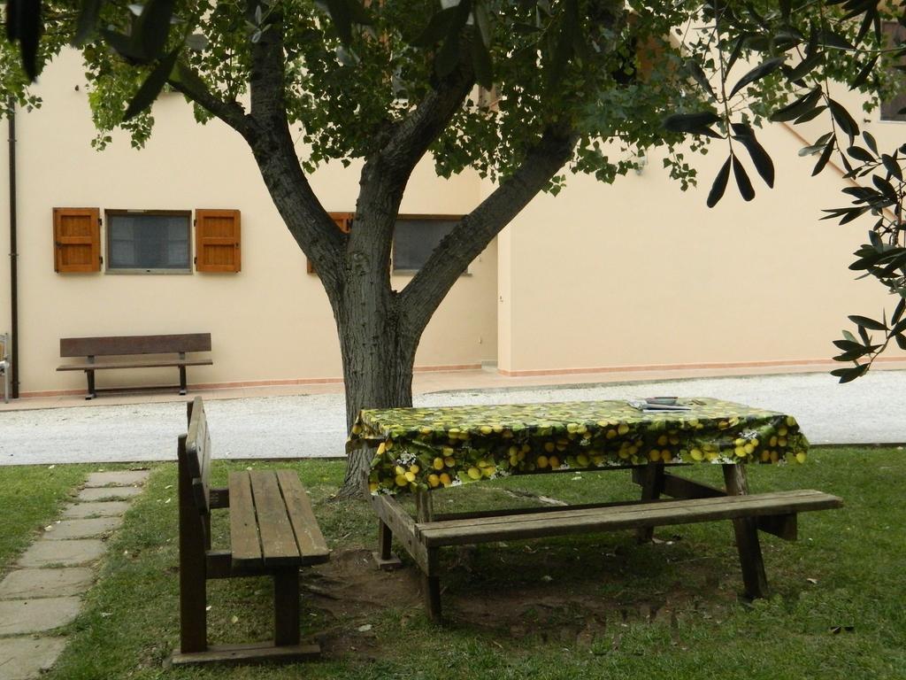 Podere Santo Signoretto ซานวินเชนโซ ภายนอก รูปภาพ